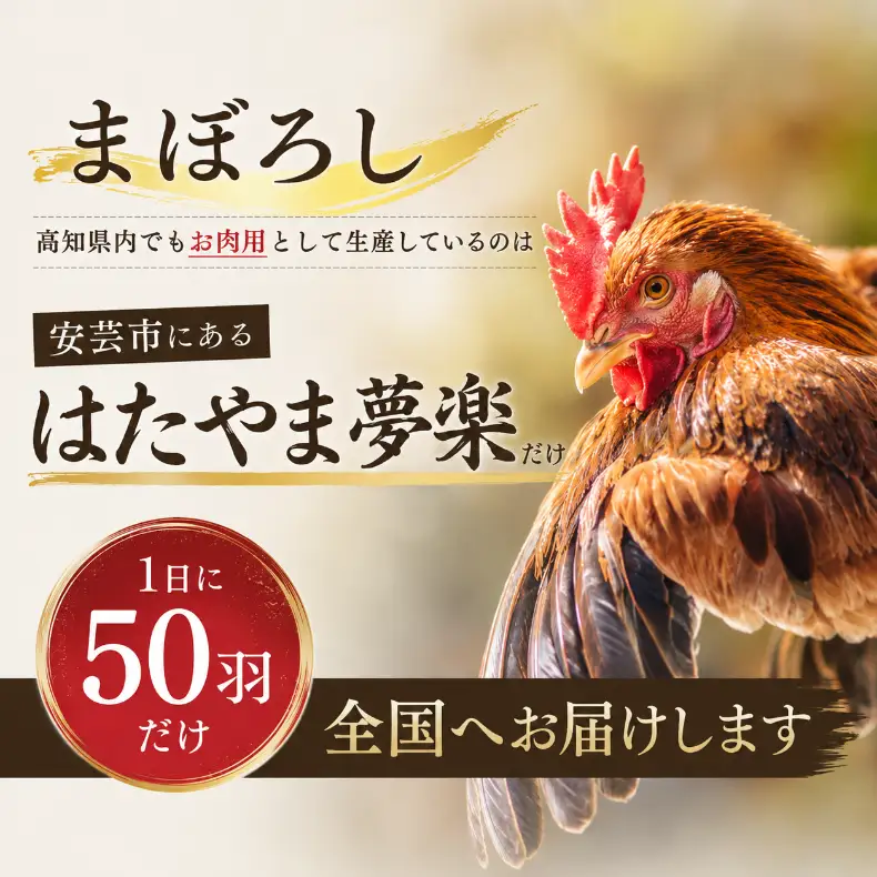 地鶏 カット肉 3袋 12回定期便 土佐ジロー 肉