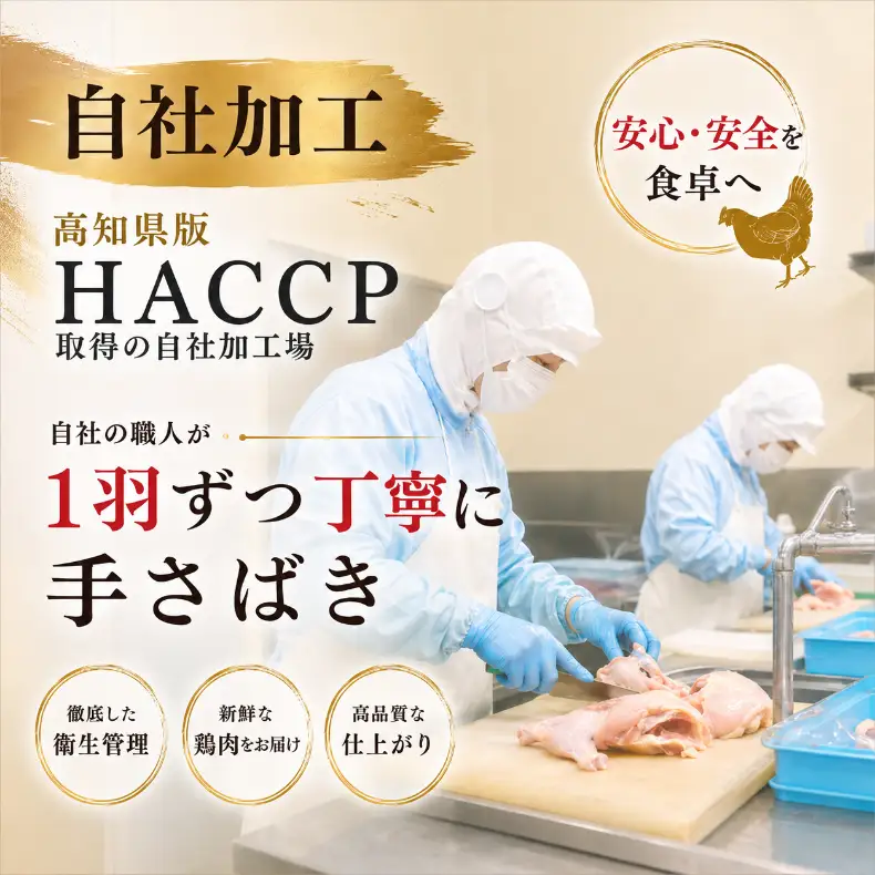 鶏肉 【6回定期便】 土佐ジロー 1羽セット 鶏肉