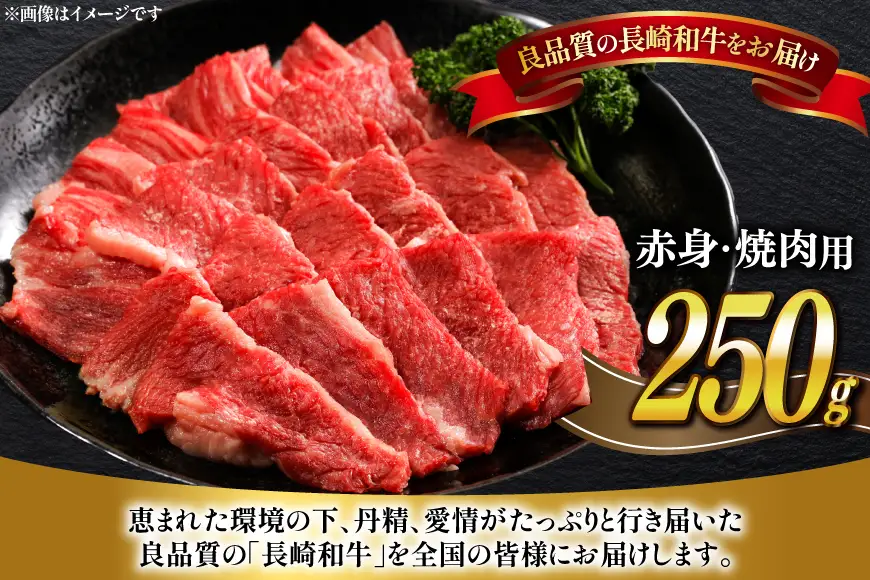牛肉 長崎和牛 焼肉 赤身 約250g