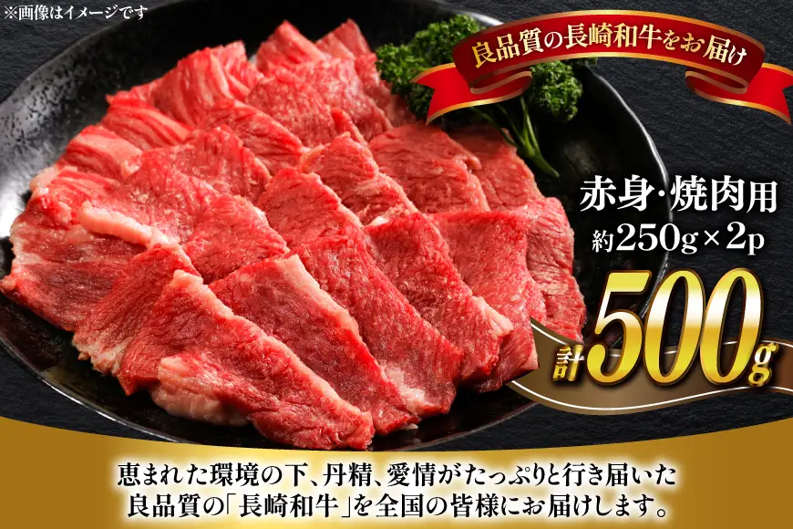 牛肉 長崎和牛 焼肉 赤身 約250g 2パック 計 約500g