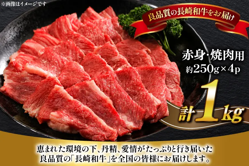 牛肉 長崎和牛 焼肉 赤身 約250g 4パック 計 約1kg