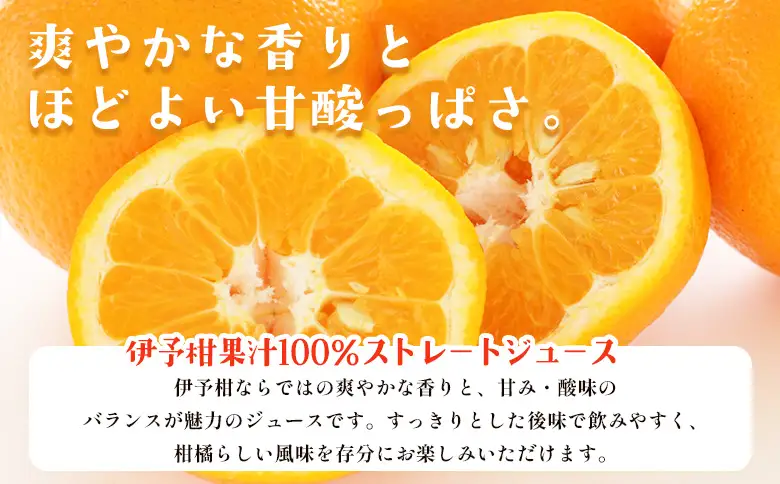 ＜柑橘100％ジュース （温州みかん2本+まどんな（愛果28号）+伊予柑+清見+せとか 6本）＞ 温州みかん ストレートジュース 果汁100％ ミカン 蜜柑 果物 柑橘 かじわらFARM 愛媛県 西予市【常温】『1か月以内に順次出荷予定』MKF0003