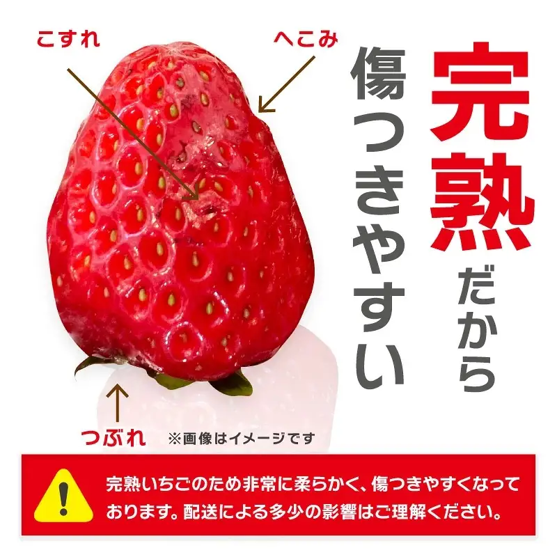 イチゴ （まりひめ）大粒 2パック 《先行予約》 いちご【1181-2】