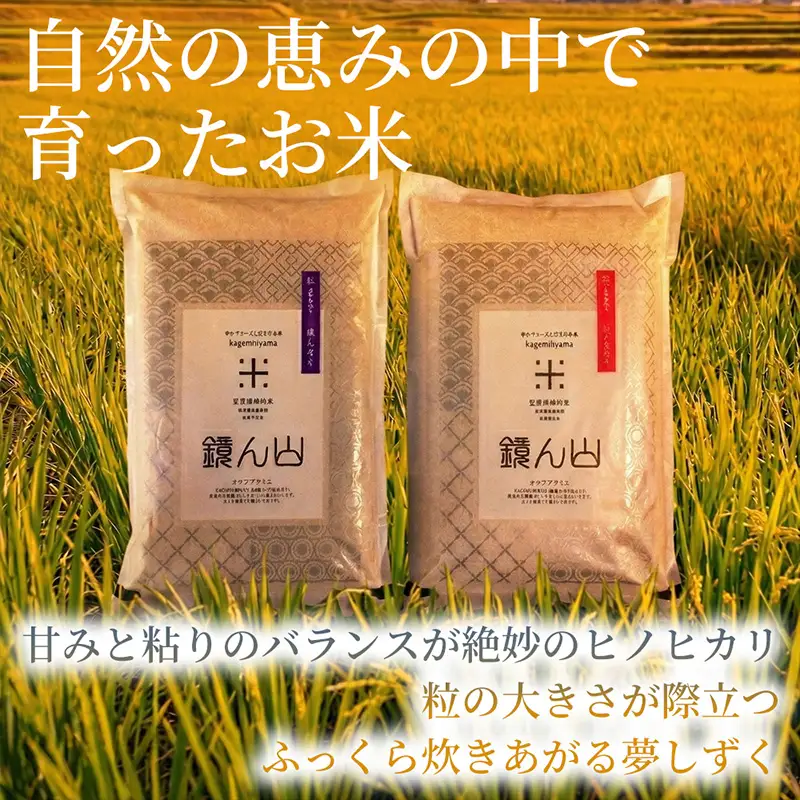 【2つの味わいを楽しむ】自然栽培米 ヒノヒカリ(玄米)・自然栽培米 夢しずく(玄米) 各2kg×1袋 1セット 食べ比べ米 お米セット 詰め合わせ 毎日ごはん 贅沢ごはん 厳選お米