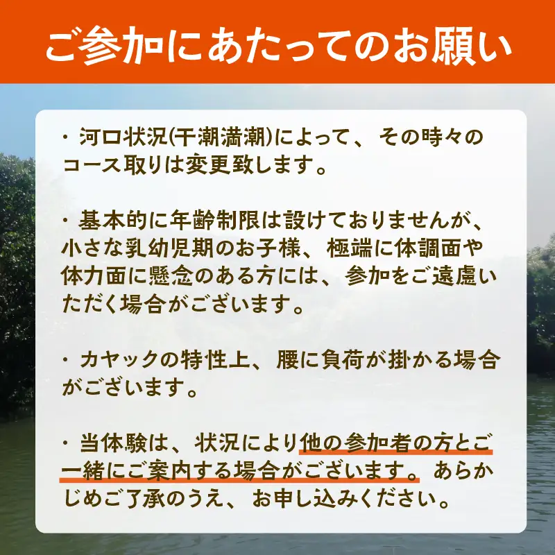 (4名様) マングローブカヤック体験【BLUE PEACE種子島】