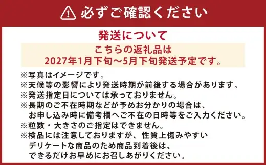 『まるで太陽の恵みをそのまま閉じ込めたような真っ赤な大玉トマト』約3.5kg 1箱 （熊本県産） 【2027年1月下旬～5月下旬まで発送予定】 野菜 やさい トマト とまと 大玉トマト