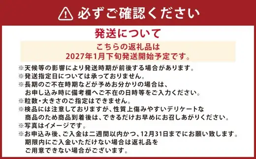 【4か月連続定期便】『まるで太陽の恵みをそのまま閉じ込めたような真っ赤な大玉トマト』約3.5kg×4回 計14㎏ 特別な定期便 （熊本県産） 【2027年1月下旬発送開始】野菜 やさい トマト とまと 大玉トマト