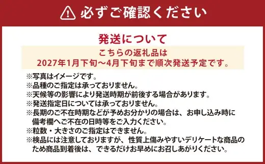 『まるでお姫様のような高級大粒いちご』 大粒いちご 250g×4パック 約1kg （ゆうべにまたは恋みのり） 熊本県産 【2027年1月下旬発送開始】 フルーツ くだもの 果物 イチゴ 苺 いちご ゆうべに 恋みのり おやつ 国産
