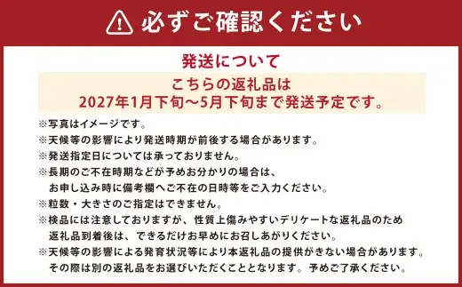 太陽の恵みを閉じ込めた真っ赤な大玉トマト2kg（熊本県産） 【2027年1月下旬発送開始】 甘い 真っ赤 野菜 やさい 爽やか フルーツトマト とまと 国産 常温