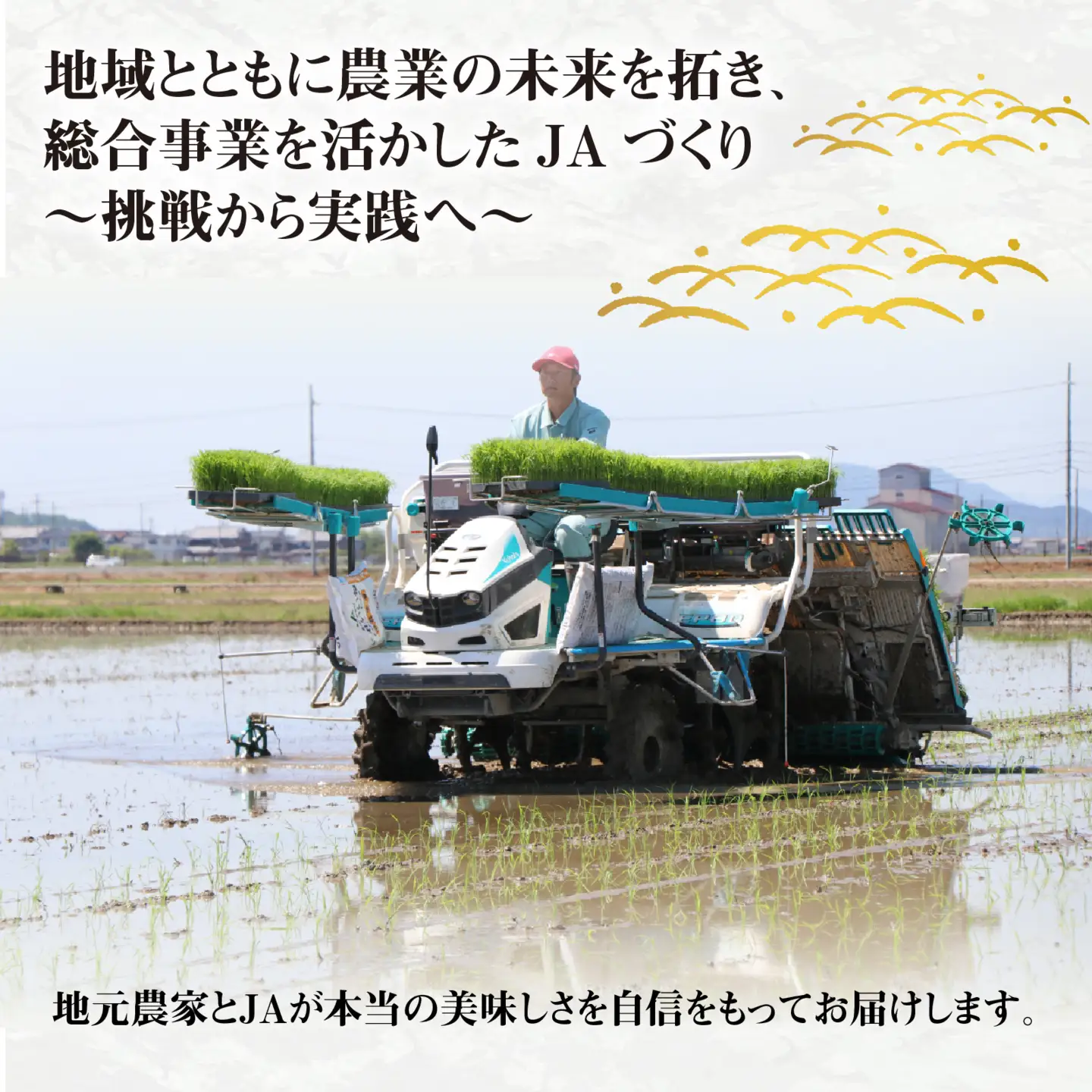 【先行予約】【令和8年産新米早期予約 毎月定期配送・計12回】 BG無洗米みずかがみ10kg×12回 [R-00404] / 無洗米
