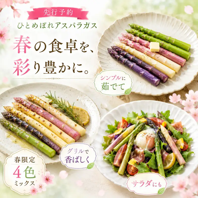 【先行予約】春限定 ひとめぼれアスパラガス 3kg 4色 食べ比べ 産地直送 農家直送 野菜 新鮮 旬 アスパラ 春野菜 サラダ バーベキュー BBQ ファミリー 大容量 ギフト