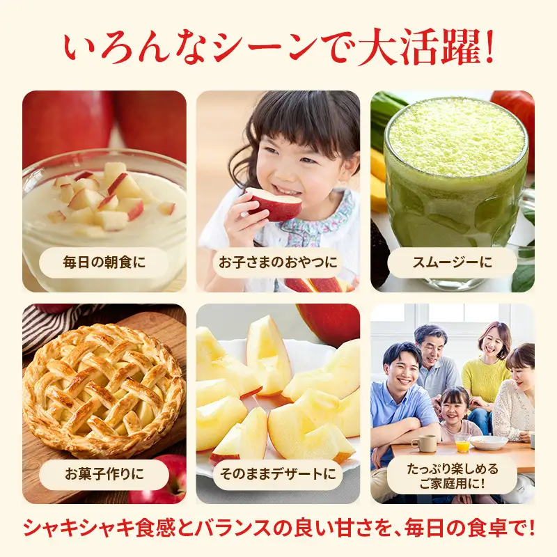 りんご 訳あり 3kg さんふじ りんご