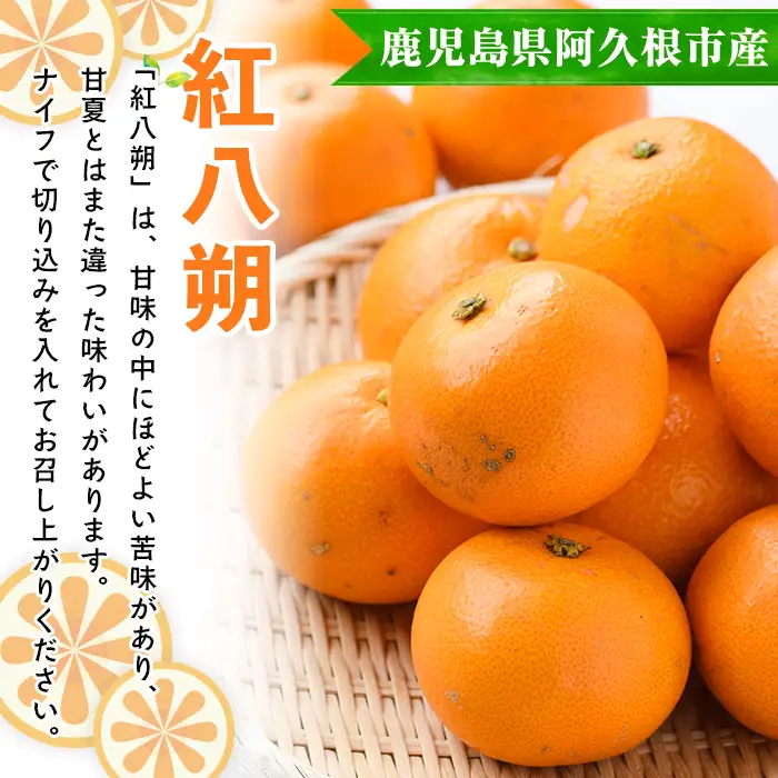 ＜先行予約受付中！2027年2月上旬以降順次発送予定＞まなべみかん園の紅八朔(約20kg) 国産 鹿児島県産 阿久根市産 柑橘類 果物 フルーツ べにはっさく 期間限定 数量限定 贈答用 ギフト デザート 【有限会社まなべみかん園】akn034-18