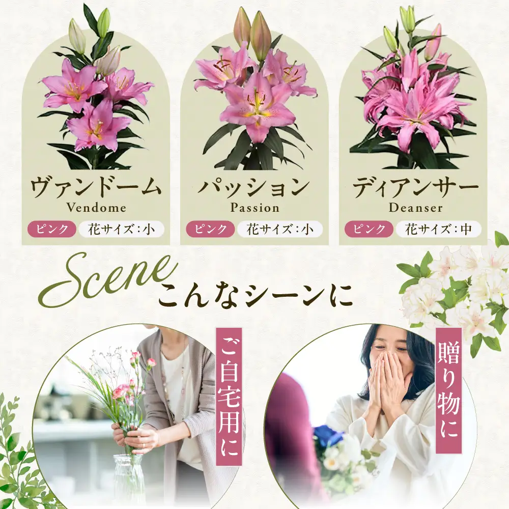 北海道当別町産ユリ | 花 ゆり 切花 農家直送 高品質 期間限定 北海道 当別町
