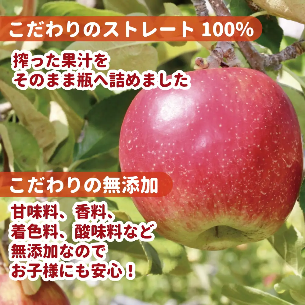 福島産 りんごジュース 100％ ストレート果汁 1000ml×6本セット サンふじ ＜2027年1月以降順次発送＞