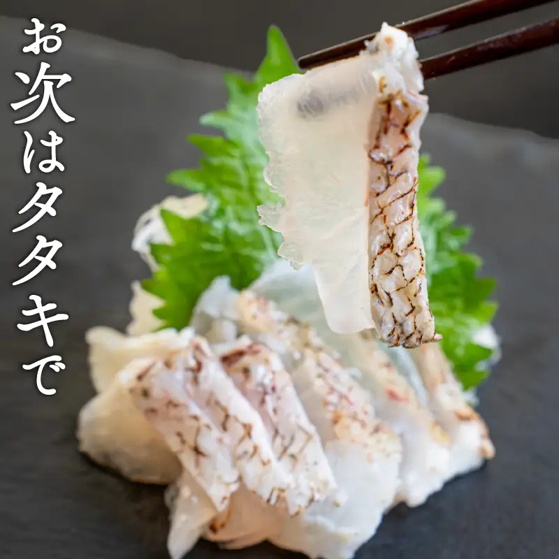 【鯛】鯛づくしセット