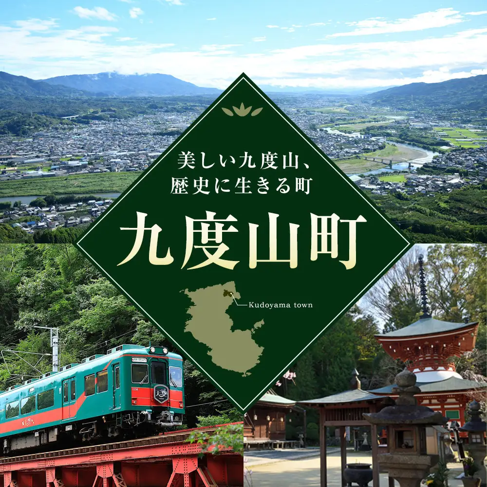 家庭用 冷凍梅 約2kg 紀州 南高梅 青梅 黄梅 完熟梅 訳あり［IKE332］