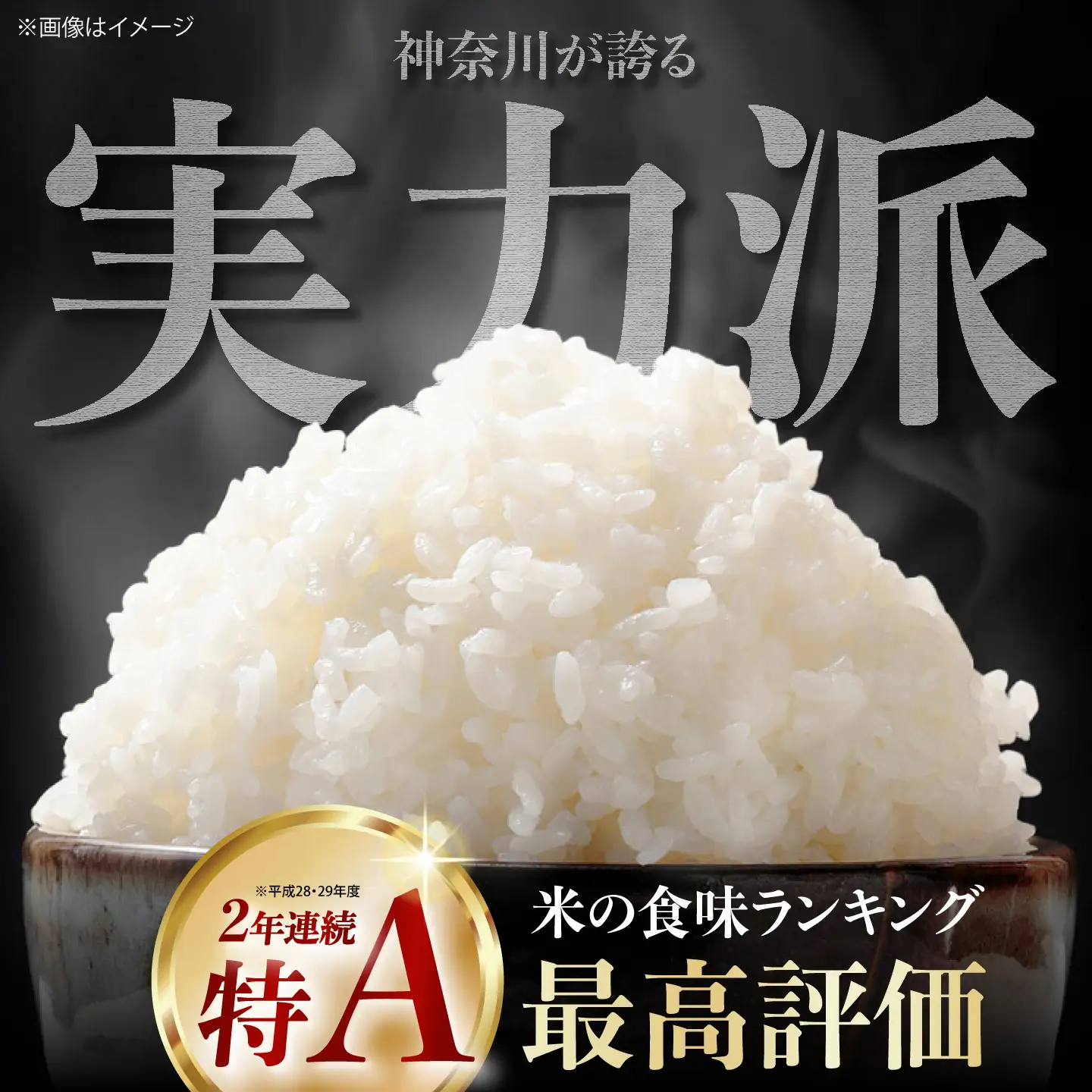 【令和8年産新米予約】【特Aランク受賞実績あり！】はるみ 5kg【井上農園】 米 お米 精米 白米 はるみ 新米 令和8年産[BDBB006-1]