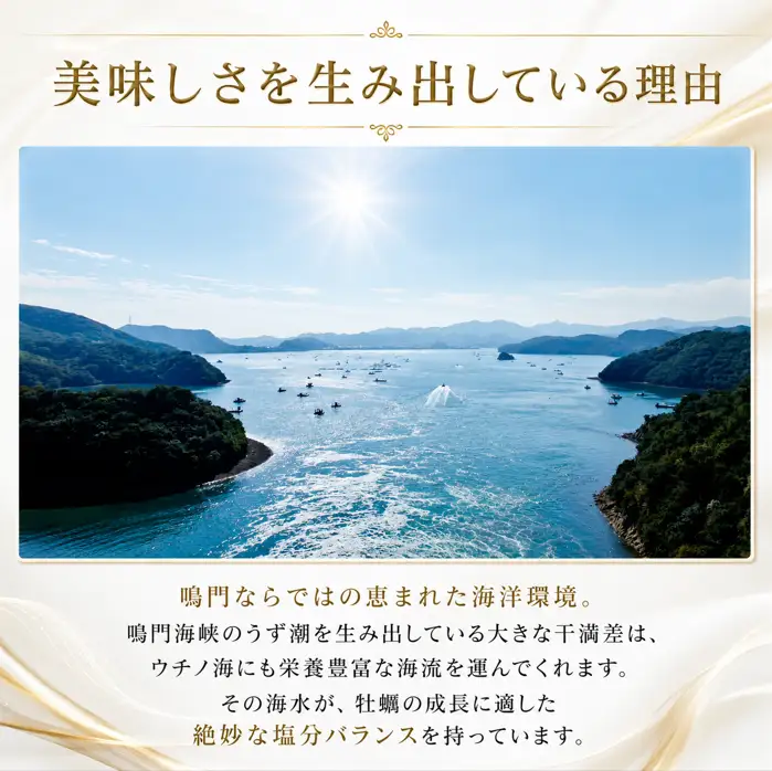 牡蠣 生食用 《全国牡蠣-1グランプリ 準グランプリ受賞！》 12個