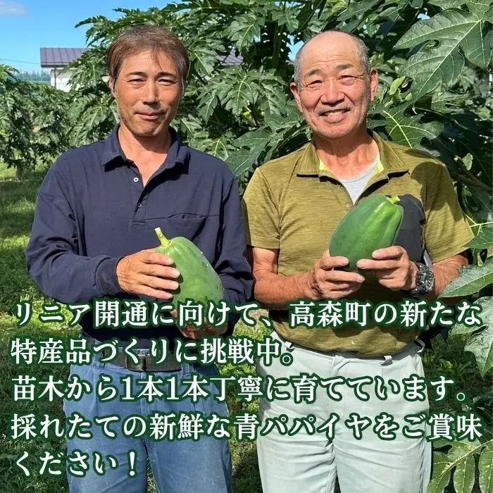 南信州高森産 青パパイヤ 3kg