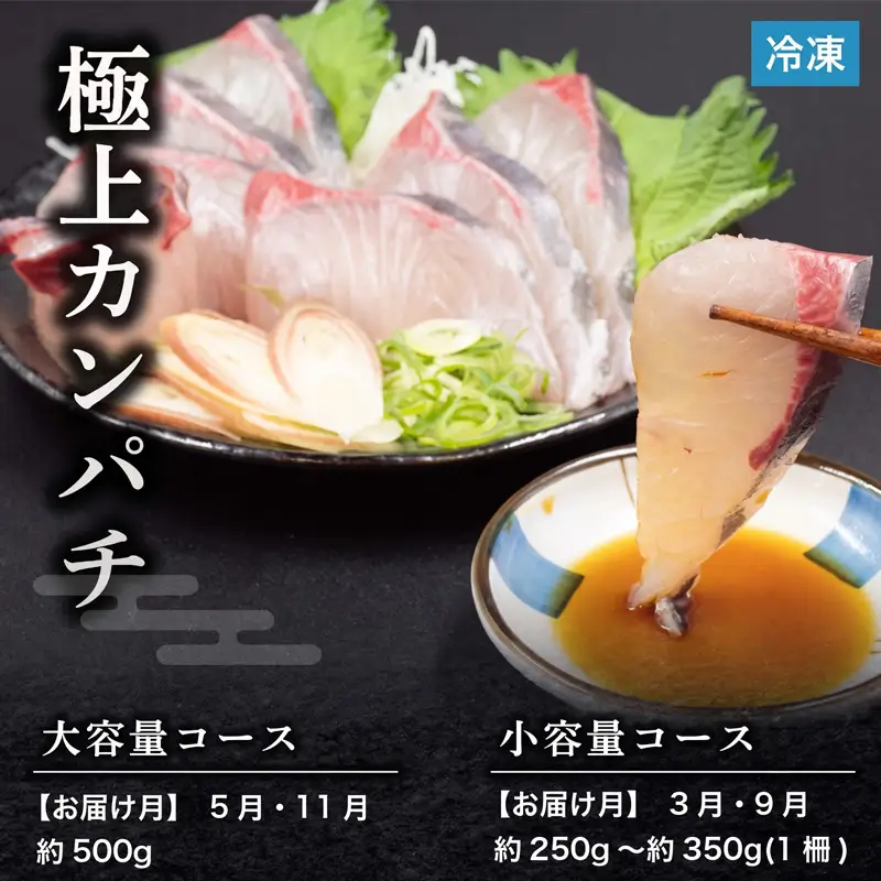 【冷凍】　刺身 定期便 6ヶ月 小容量 コース 小島水産 がお届けする！ 美味しい お刺身 