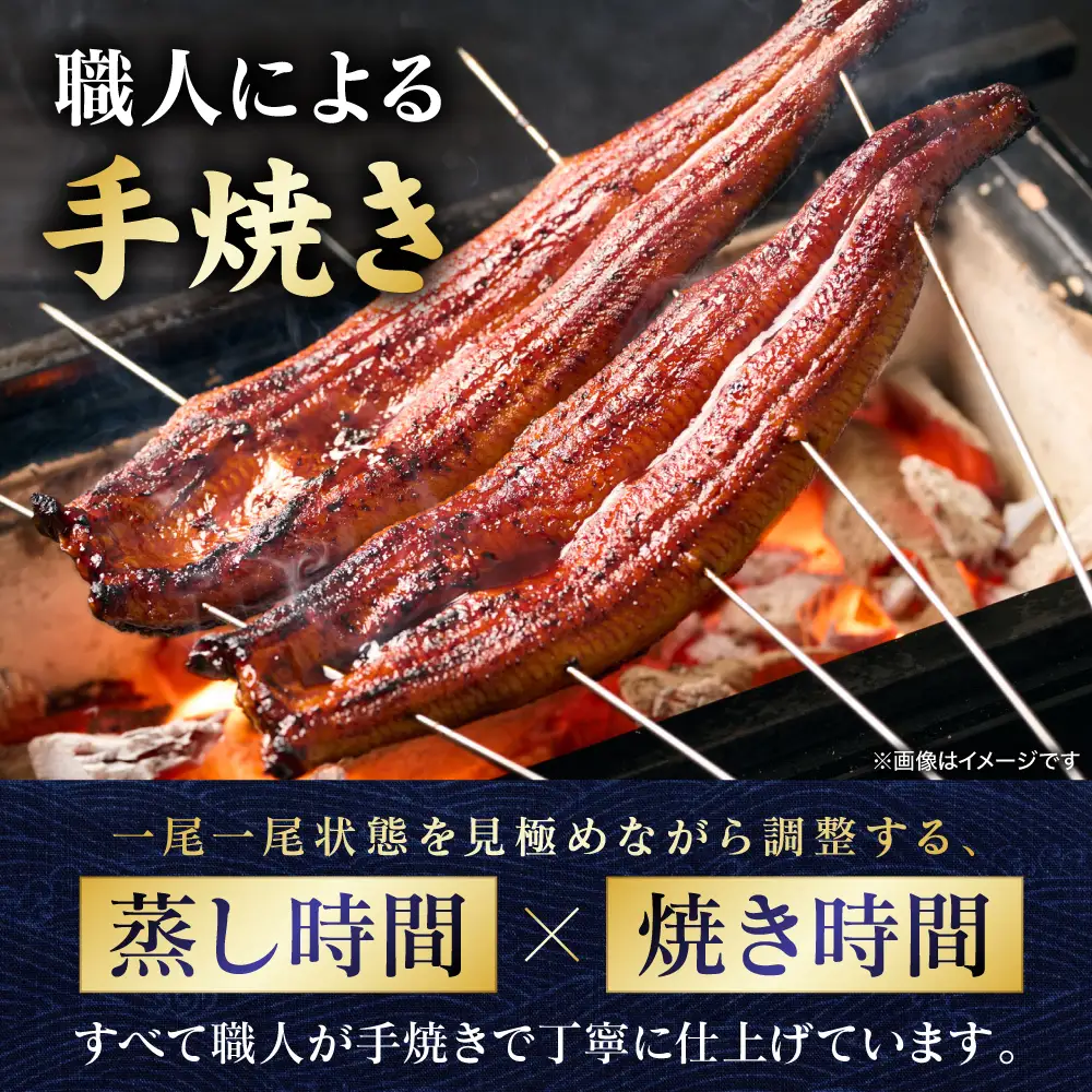 鰻 【先行予約】 うなぎの蒲焼 2尾 （合計350g以上） 【2026年9月中旬より順次発送】 鰻