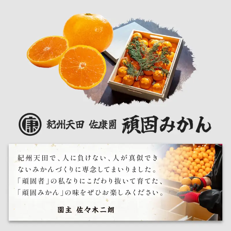 和歌山県天田のこだわり頑固みかん【秀品】10kg　サイズ指定可能（S・M・L）Mサイズ【1206-1_M】