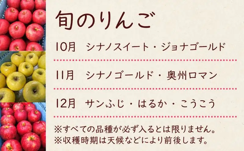 【定期便】 訳あり りんご 品種おまかせ 5kg 3ヶ月 田村ふぁーむ tamura010 りんご