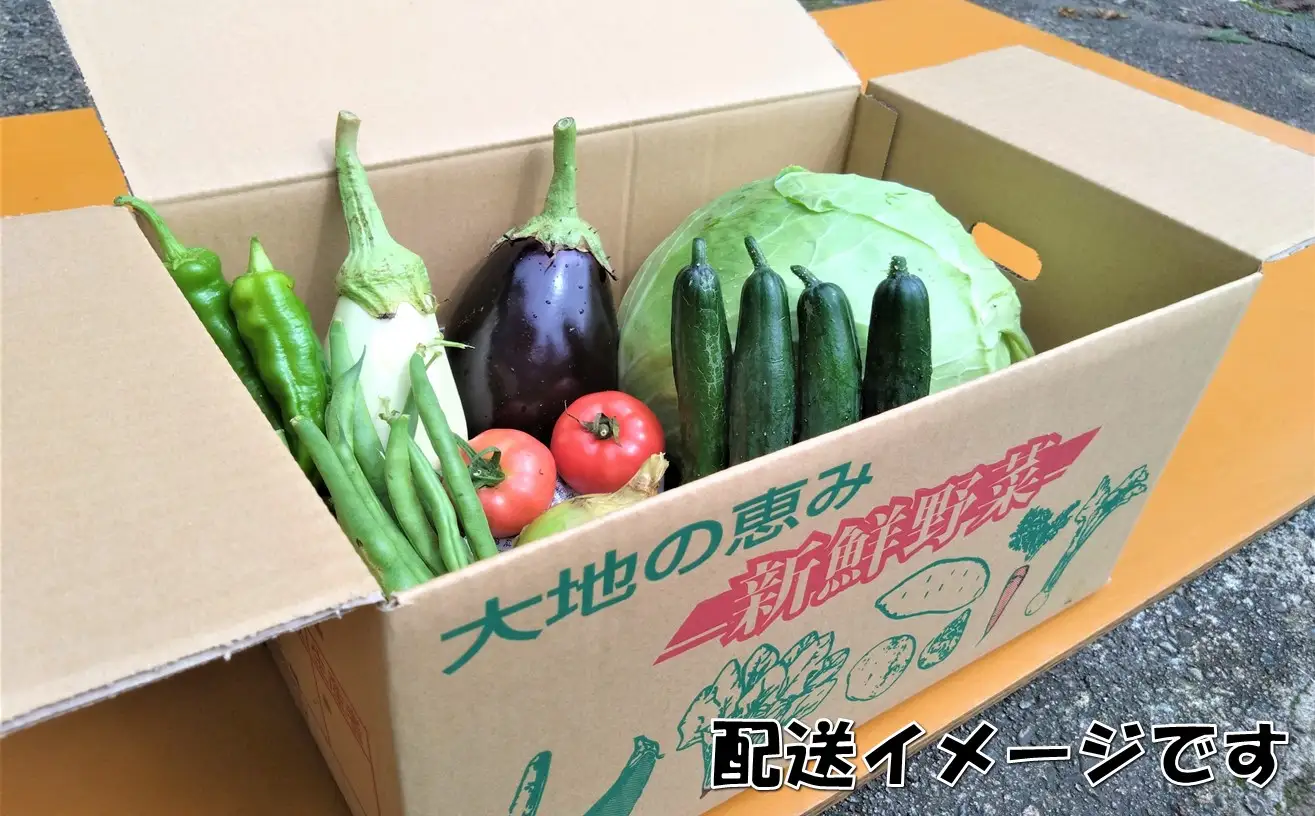 【数量限定】小国の旬の新鮮野菜セット　5品以上　