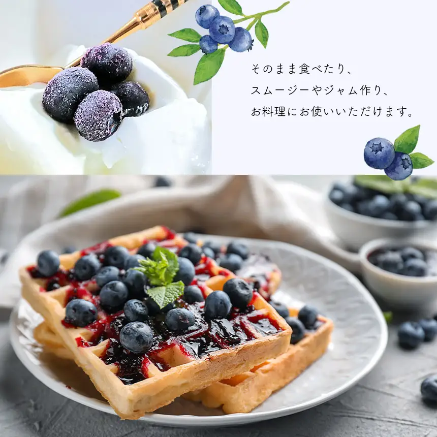 冷凍ブルーベリー 訳あり 500g