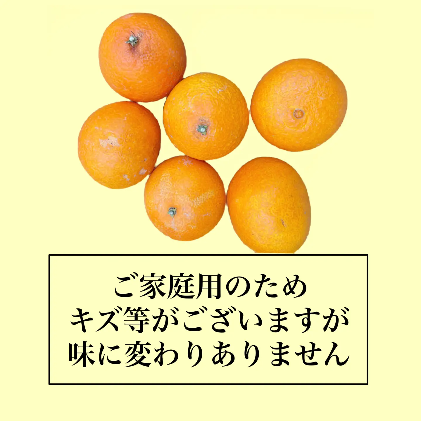 【2026年11月中旬頃から順次発送】【紅まどんな】 ご家庭用 2.3㎏ M~4Lサイズ | まどんな 【FA122】