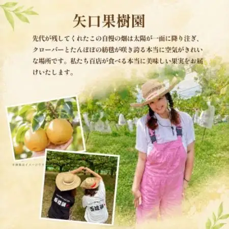 甘太 梨 3kg 6～10玉 【2026年収穫分】かすみがうら市【配送不可地域：離島・沖縄県】【1757991】