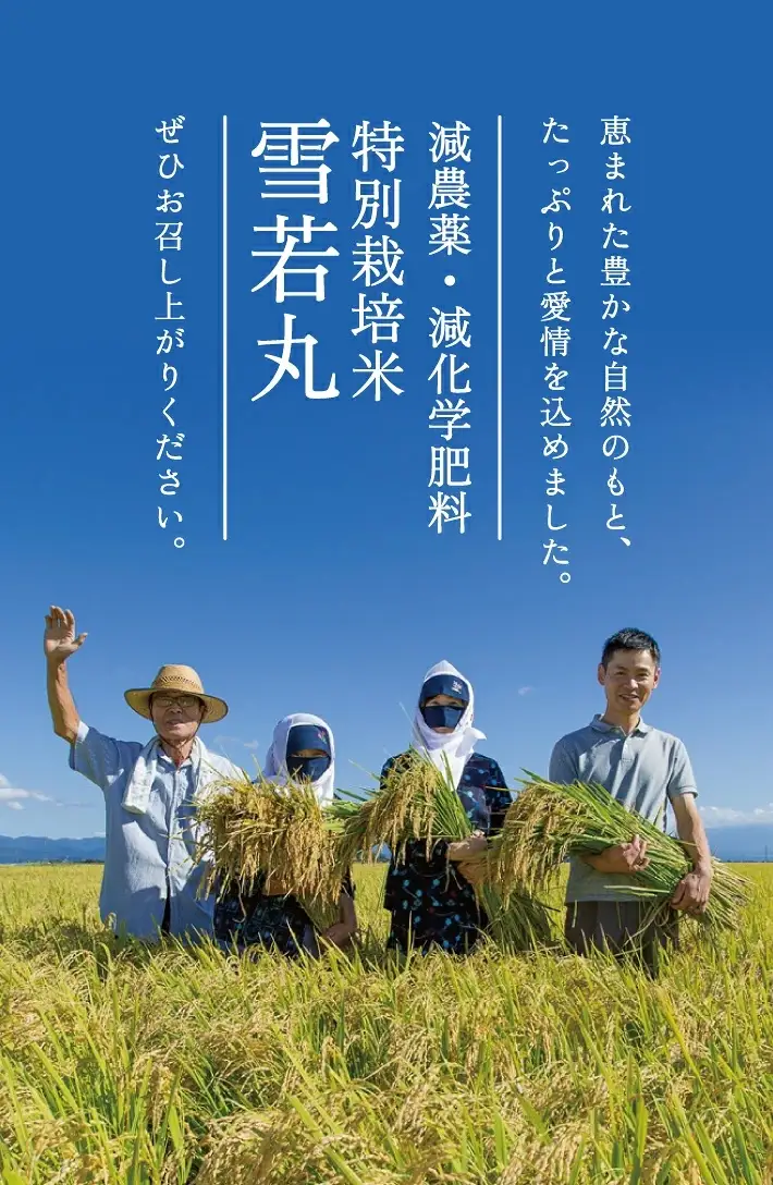 SC0744　12月上旬配送／令和8年産【精米】つや姫マイスターが作った 特別栽培米『雪若丸』10kg(5kg×2袋)［減農薬・減化学肥料］