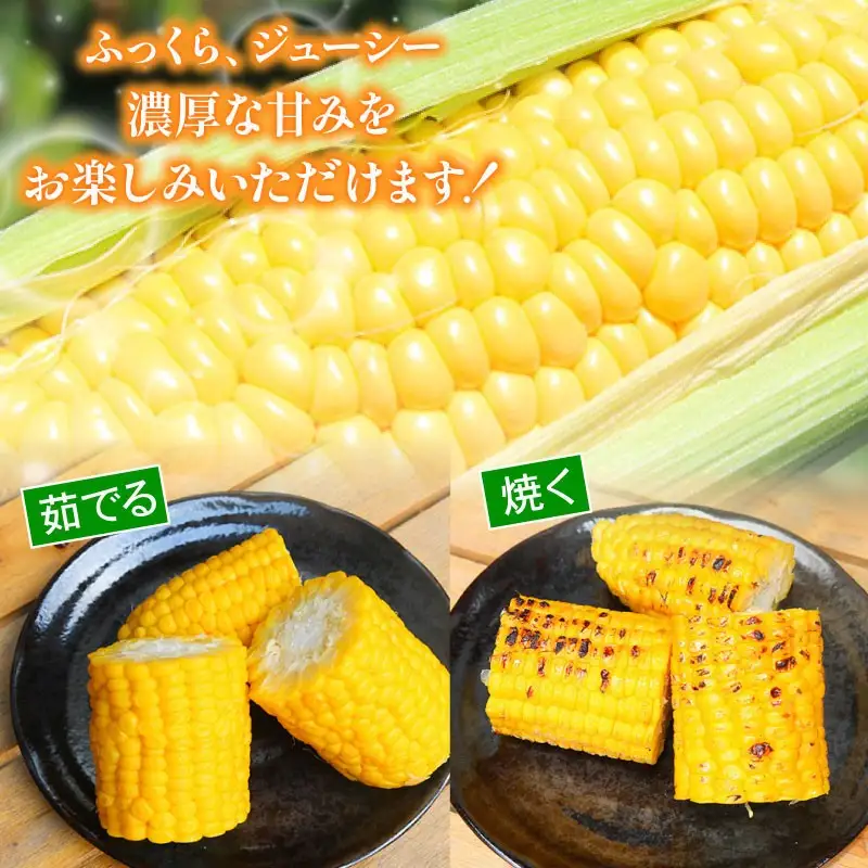 【先行予約】【セット】完熟生ブルーベリー（サザンハイブッシュ系・ラビットアイ系）300g スイートコーン 3本