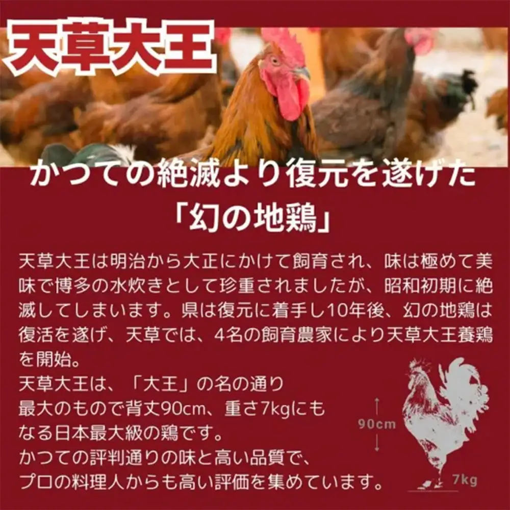 【ふるさと納税】天草大王 1羽まんぷくセット 鶏肉 セット 約1.4kg（ 鶏もも肉 鶏むね肉 ササミ 手羽元 手羽先 ） 希少 幻の地鶏 大容量 小分け 鶏肉 冷凍 送料無料 お取り寄せ グルメ 国産 熊本県 水上村