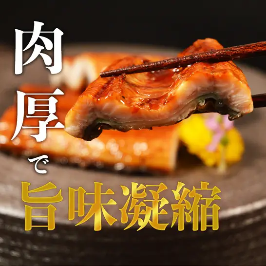 特上うなぎ 約600g (約200g×3尾) 