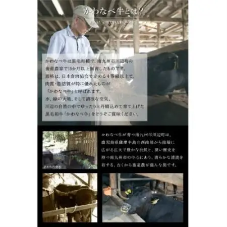 数量限定!かわなべ牛 ハラミ・牛タンセット【配送不可地域：離島】【1761773】