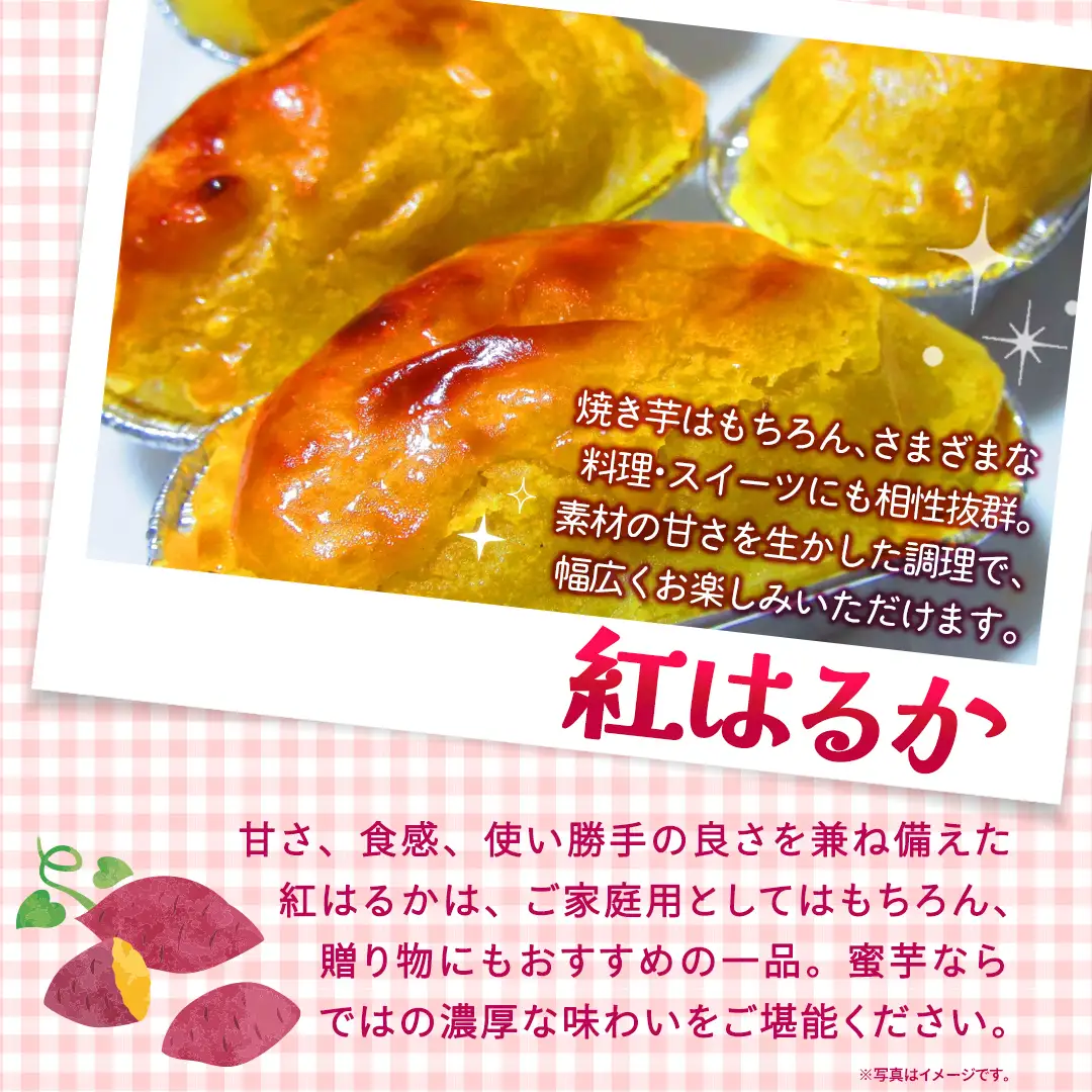 紅はるか 約 2.5kg （茨城県共通返礼品 [さつまいも]：行方市産）