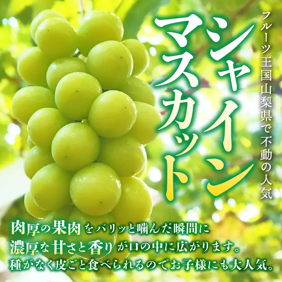 フルーツ 【2027年発送 先行予約】【ミニマム 3回定期便】厳選 旬のフルーツ定期便（桃3玉・シャインマスカット1房×2回配送） もも シャインマスカット