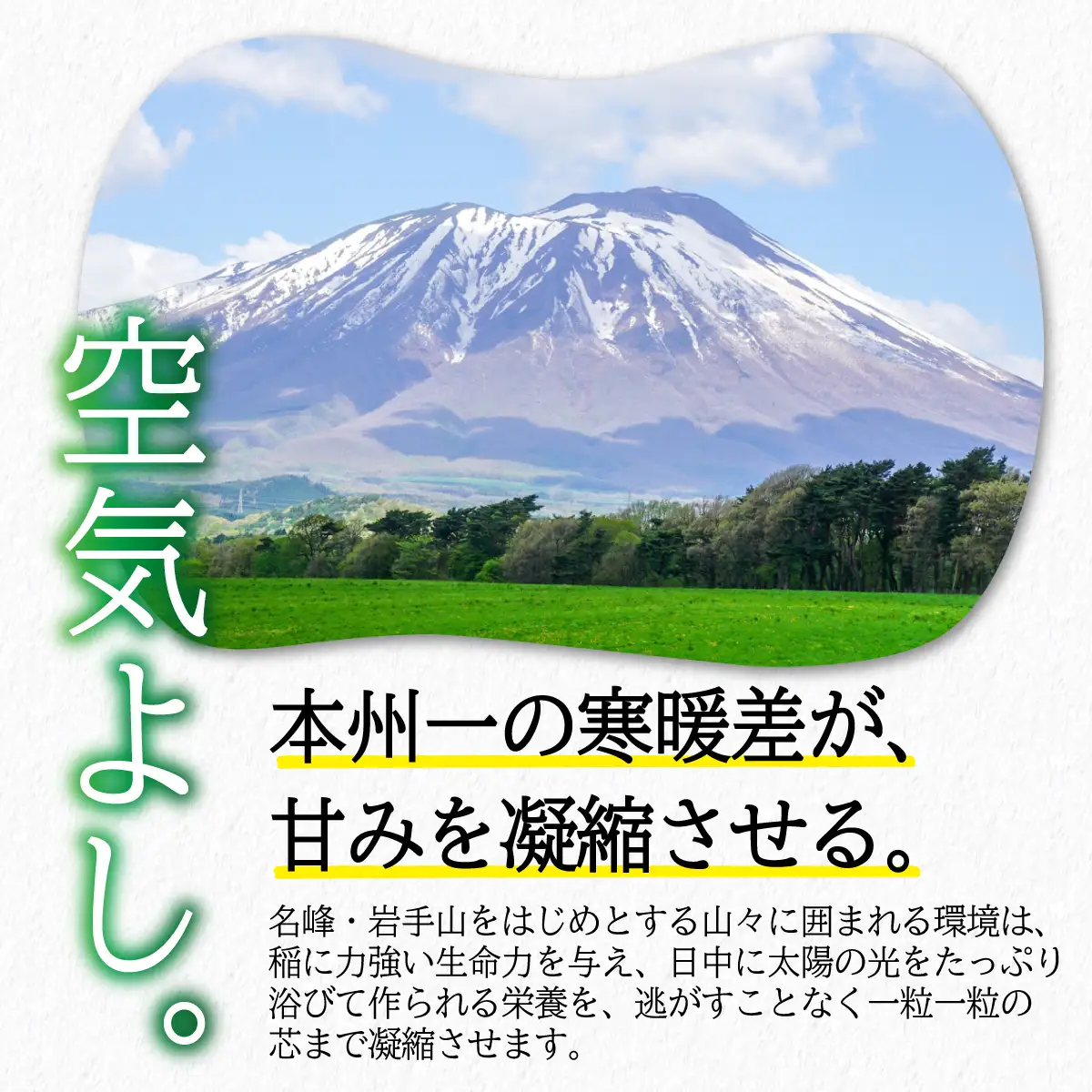 岩手県産 無洗米 ひとめぼれ 5kg 無洗