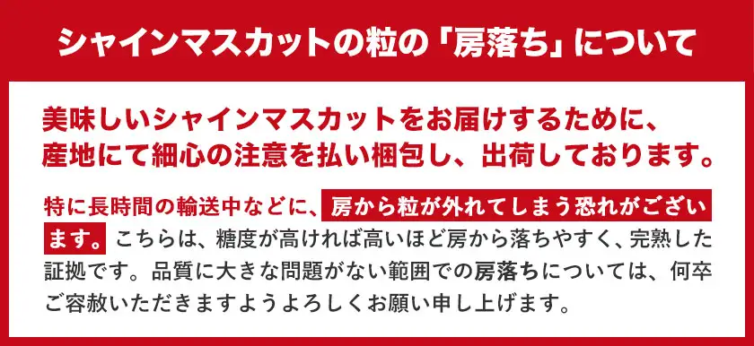 訳あり 巨峰 約2kg (5～8房) 阿部ぶどう園