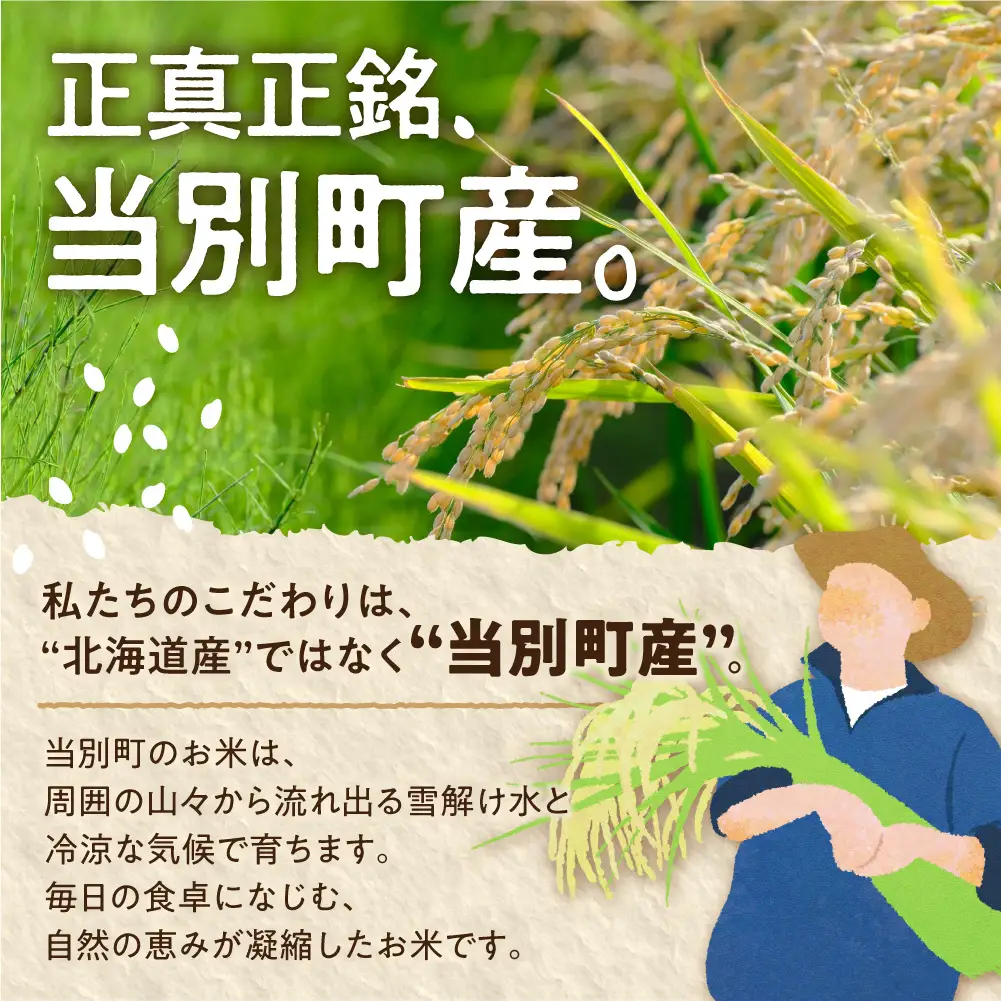 【令和8年度産先行受付】ファームふたば特別栽培米「おぼろづき」5kg【6か月定期便】 | 精米 米 コメ 北海道米 北海道 当別町