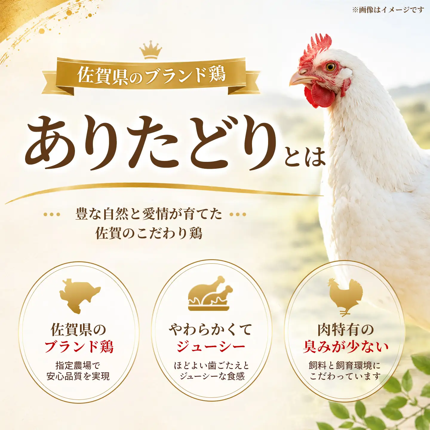 佐賀県ブランド鶏 ありたどり つくね棒2種セット(軟骨入り・激辛) 5本入り×各2袋 合計20本(H122156)