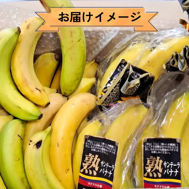 訳あり バナナ ＆ 熟サンテーラ バナナ 計約4.8kg 徳田青果 F010-194002