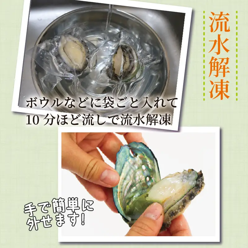 【2026年12月25日発送！！】 訳あり 三陸翡翠あわび 30g×6個