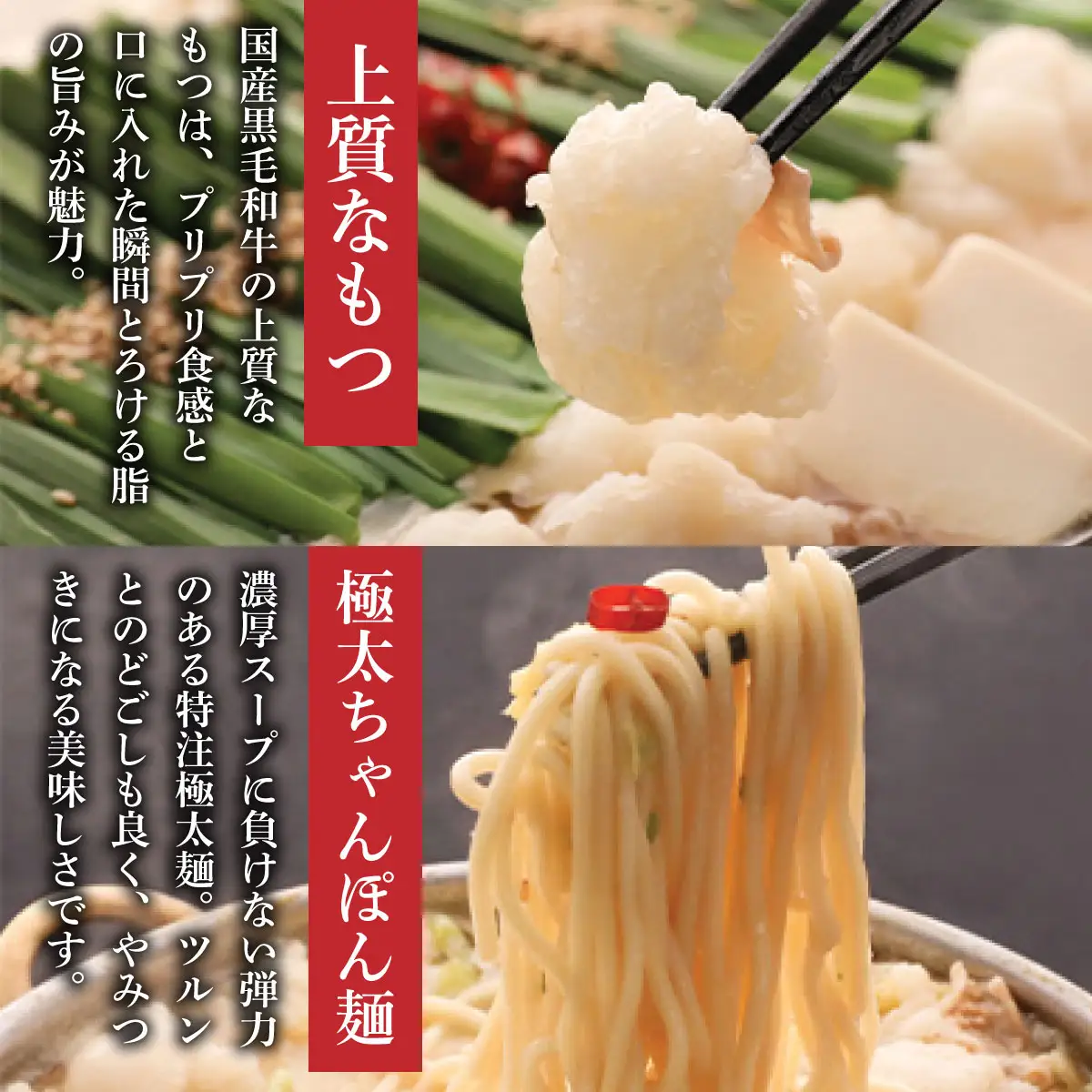 国産黒毛和牛肉のもつ鍋 食べ比べセット4～6人前（醤油・味噌 各2～3人前）『もつ鍋一藤』【SC009】