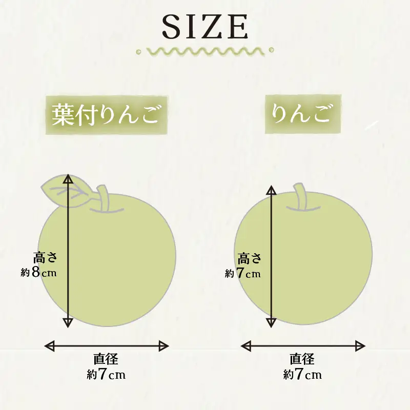 東京都新島産　新島ガラス　りんごペアセット