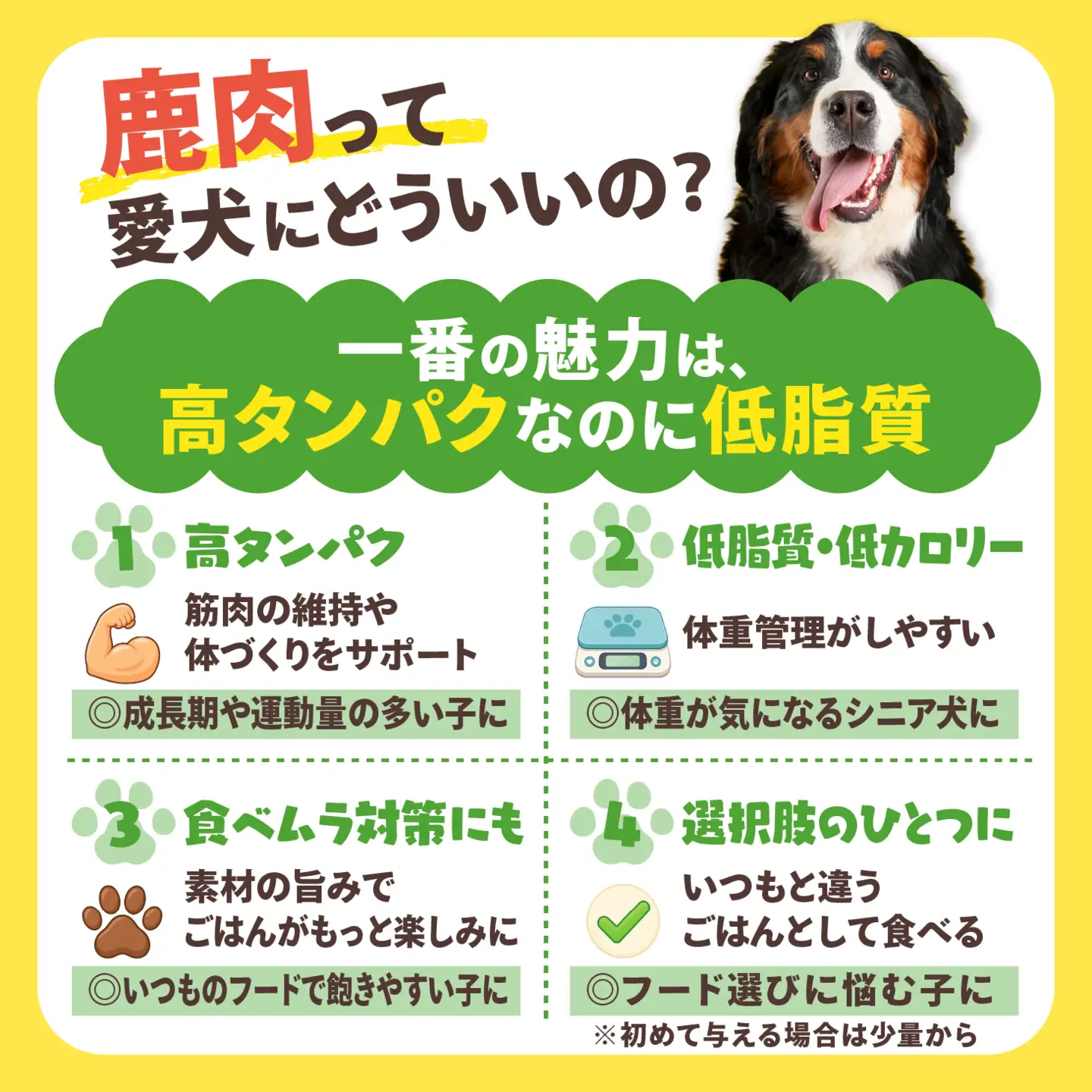【愛犬用】カット鹿肉（ぶつ切り）1kg（200g×5P）＜ペット ペットフード 犬 ワンちゃん個包装 餌 毎日 ジビエ 犬用 おやつ 鹿肉 愛媛県産 鬼北町 ドッグフード 冷凍殺菌 特定非営利活動法人Cambio＞