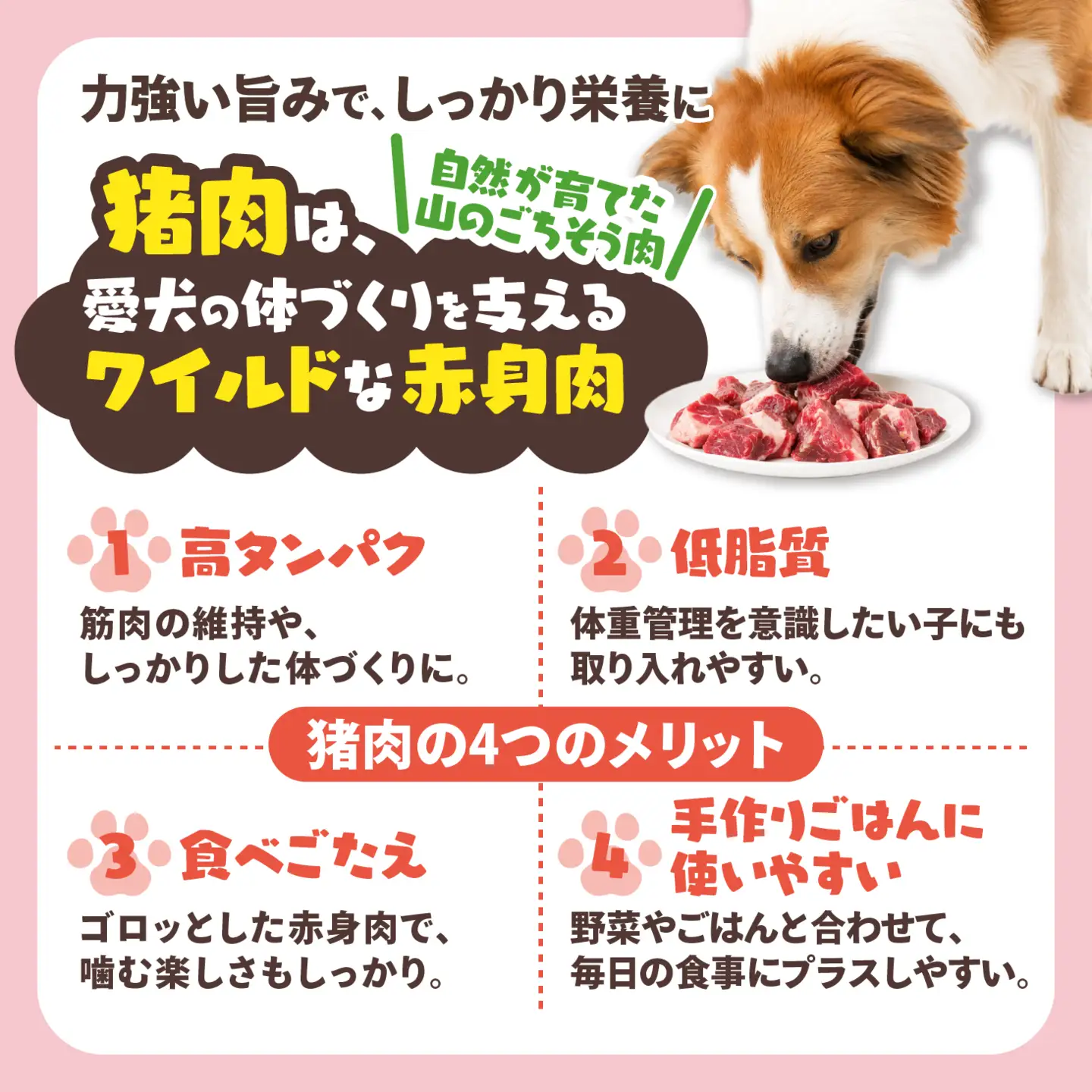 【愛犬用】カット猪肉（ぶつ切り）2kg（250g×8P）＜ペット ペットフード 犬 ワンちゃん個包装 餌 毎日 ジビエ 犬用 おやつ 猪肉 愛媛県産 鬼北町 ドッグフード 冷凍殺菌 特定非営利活動法人Cambio＞