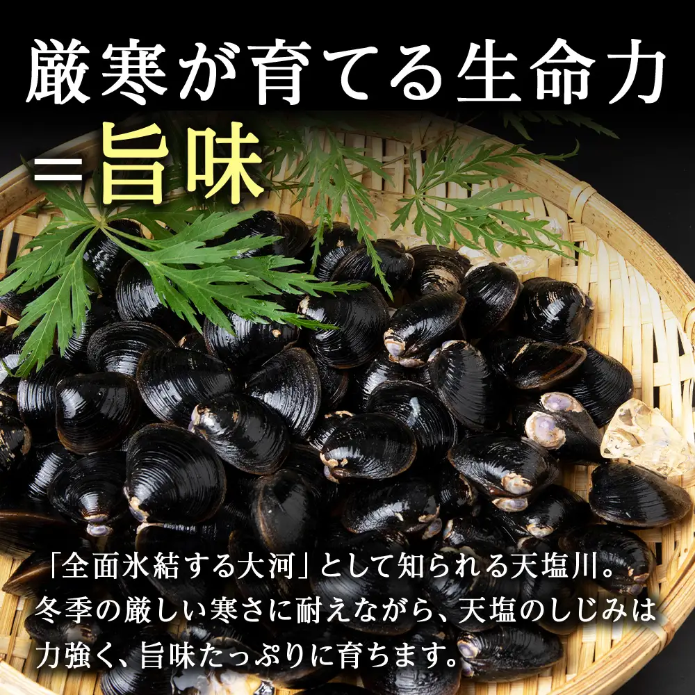天塩町名産冷凍しじみ【特大サイズ】400g×2パック＜北るもい漁業協同組合 天塩支所＞